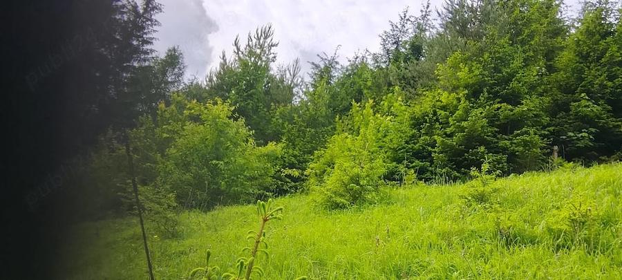 Teren de 1500 mp, în Bicazu Ardelean
