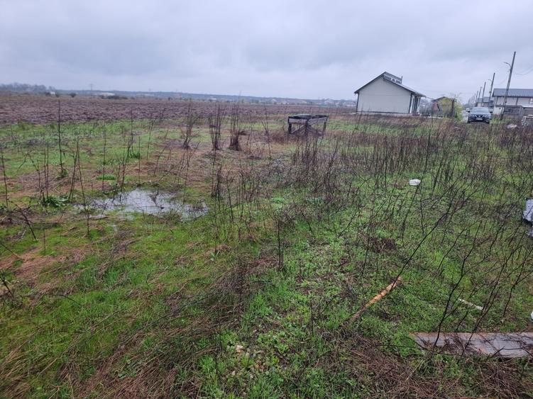 Teren Construcții intravilan de 400 mp, în Tărtășești