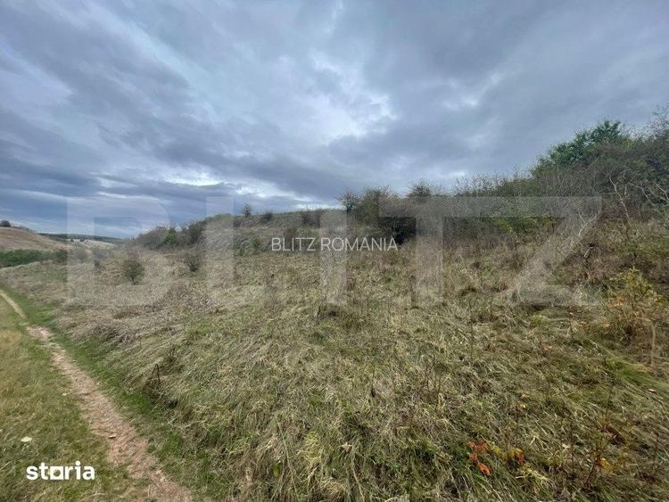 Teren Extravilan, 2800mp Perfect pentru Investitie
