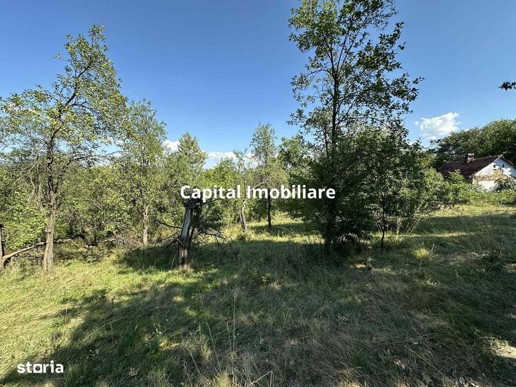 Spațiu comercial, în Calea Caransebeșului