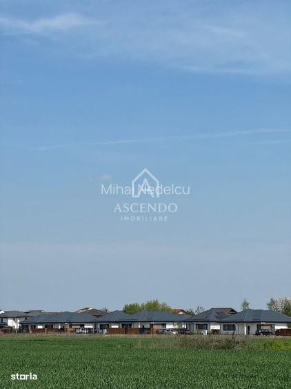 Vanzare teren 7.000 mp Buftea, zona Tamasi | langa padure