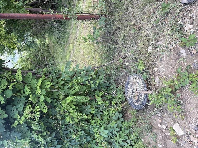 Teren de 5000 mp, în Pârscov
