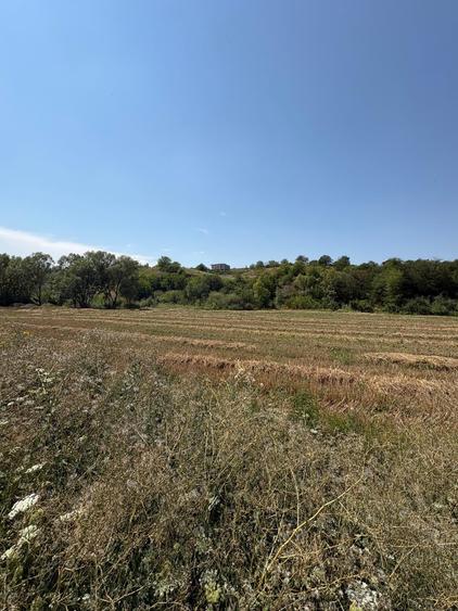 Teren Construcții intravilan de 775 mp, în Ortelec
