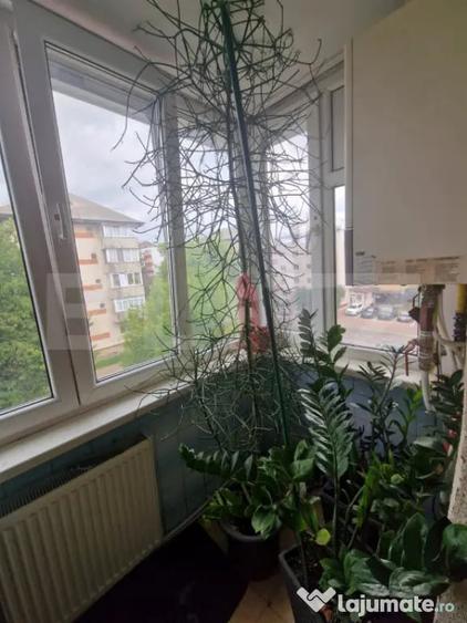 Apartament cu 2 camere decomandat în Obcini
