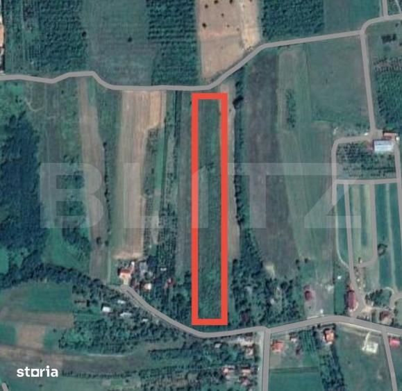 Teren de 12765 mp, în Viile Satu Mare