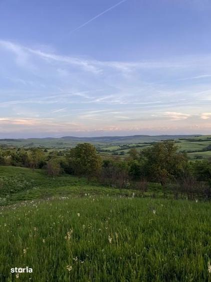 Teren de 11000 mp, în Brădeni