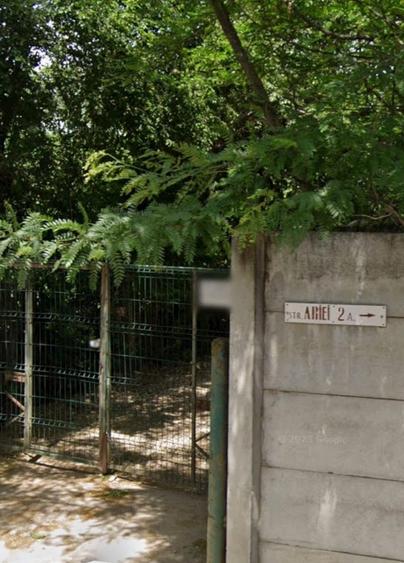 Teren Construcții intravilan de 3136 mp, în Mogoșoaia