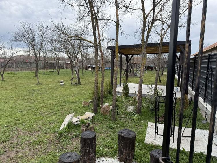 Teren de 974 mp, în Dobromira