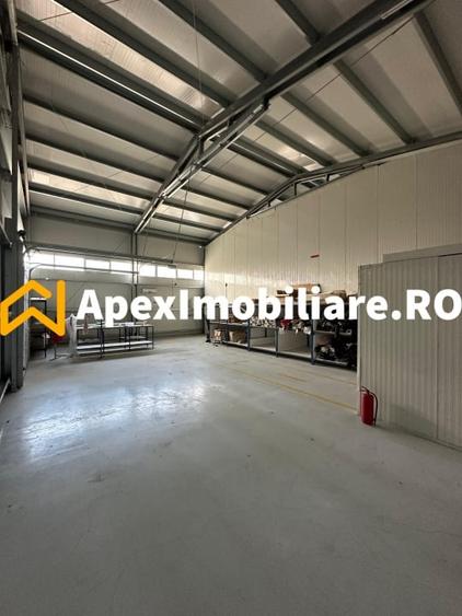 Hala Industrială Malu Rosu Ploiesti 550 mp + Birouri | Parcare 20 | Acces TIR | - 18