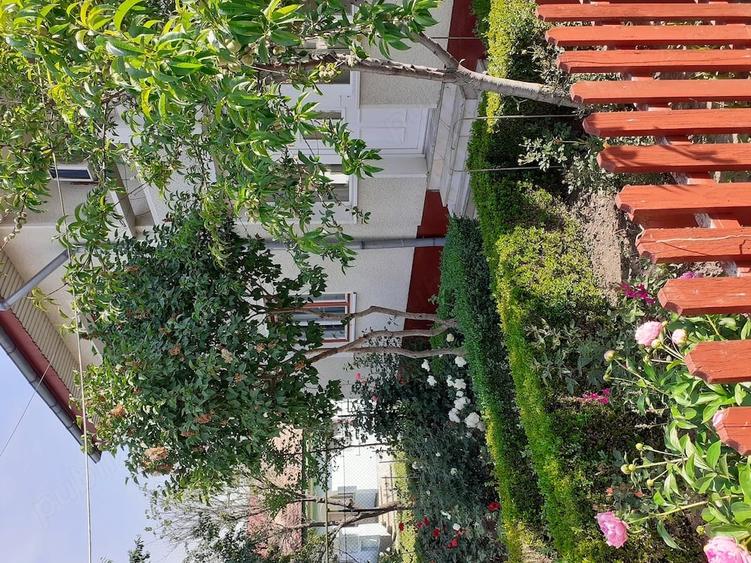 Casă cu 8 camere cu Teren 750 Mp în Tache