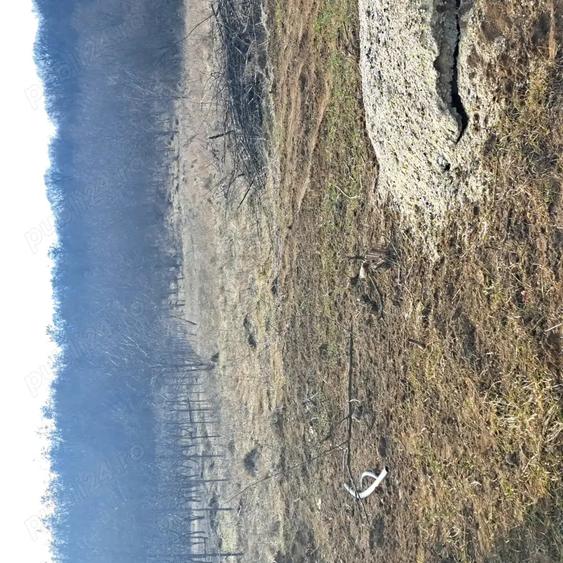 Teren de 1000 mp, în Câmpenești