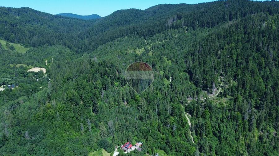 Teren agricol intravilan de 120000 mp, în Sucevița
