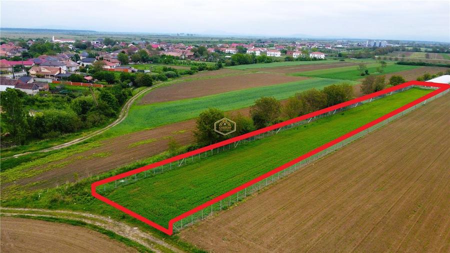 Teren agricol extravilan de 3600 mp, în Est