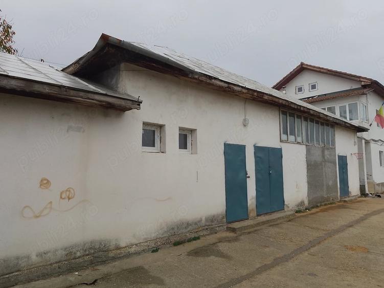 Casă cu 7 camere cu Teren 1000 Mp în Vânătorii Mici