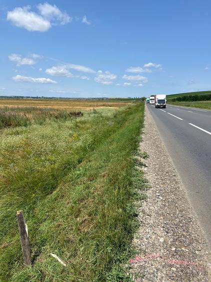 Teren de 29300 mp, în Lețcani