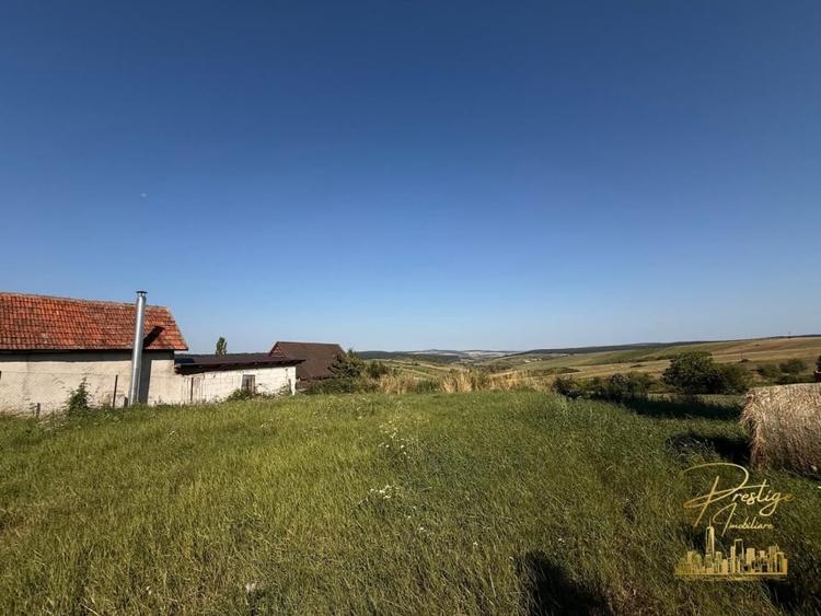 Teren Construcții intravilan de 3255 mp, în Tășad