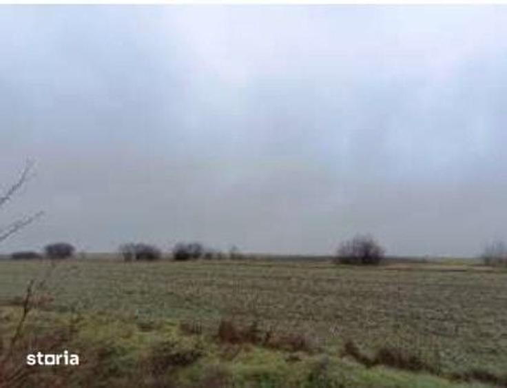 Teren de 6000 mp, în Ciocârlia