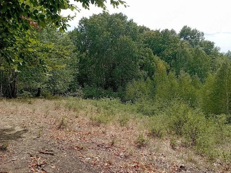 Teren de 3500 mp, în Valea Babei