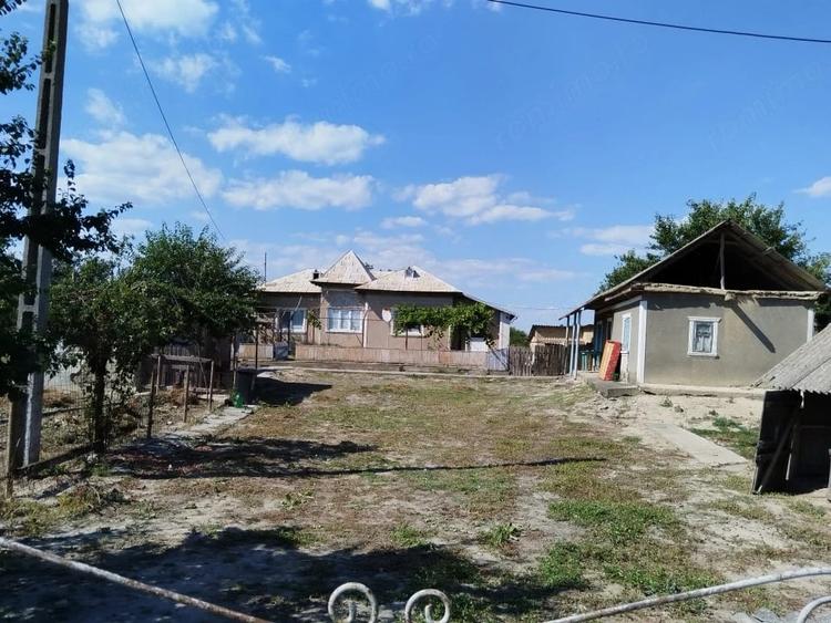 Casă cu Teren 5024 Mp în Nufăru