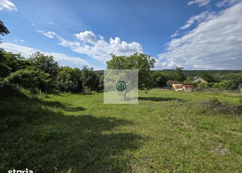 Teren agricol extravilan de 2340 mp, în Șoimuș
