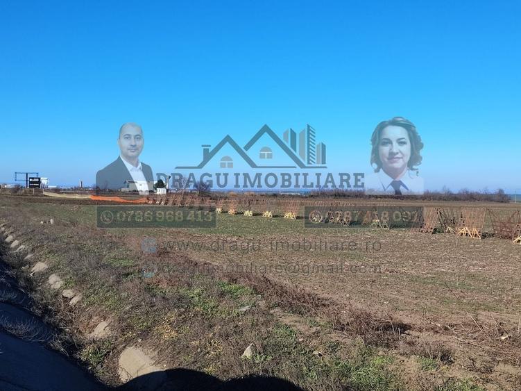 Teren agricol extravilan de 5000 mp, în Nord