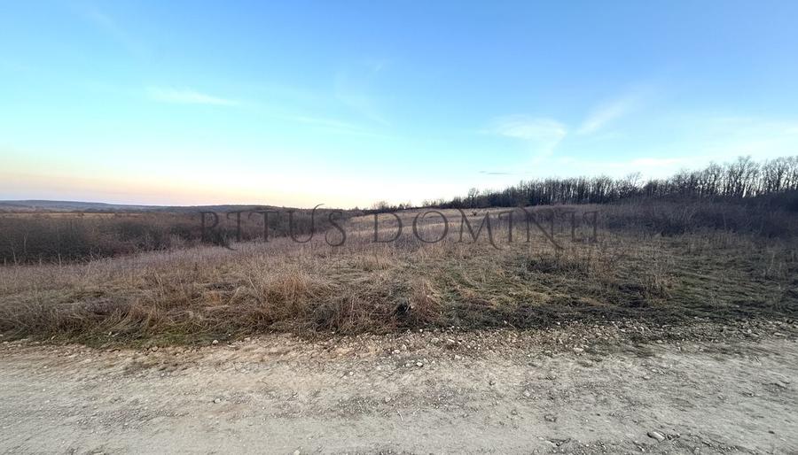 Teren Construcții intravilan de 8592 mp, în Paleu