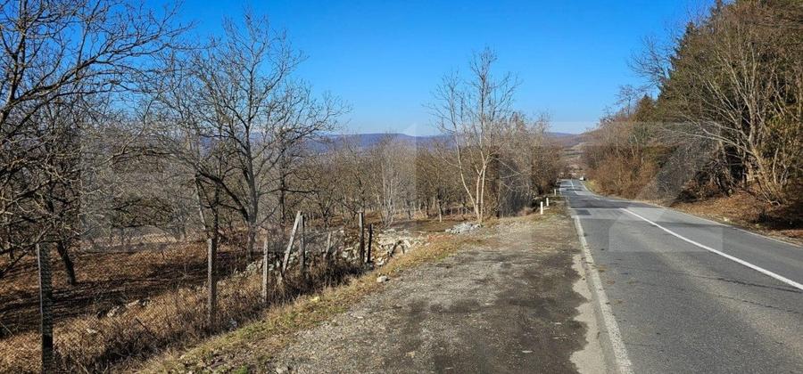 Teren Construcții intravilan de 3000 mp, în Nord