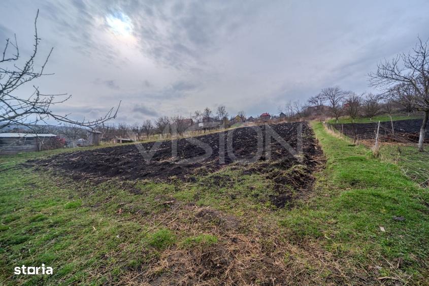 Casa la tara | 57 m2 + anexe | 2844 m2 teren | Caianu - 7