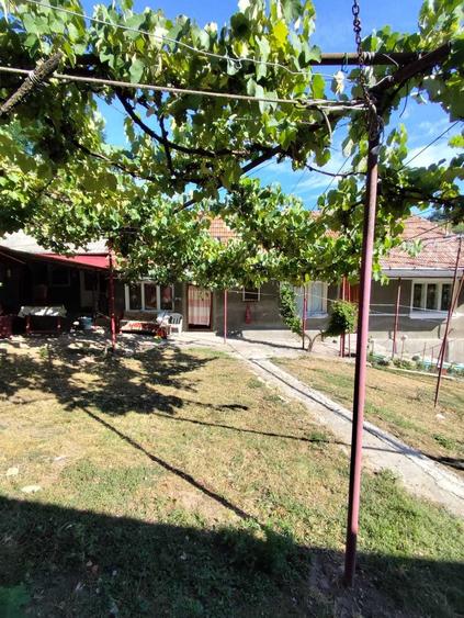 Casă cu 3 camere în Săliștea