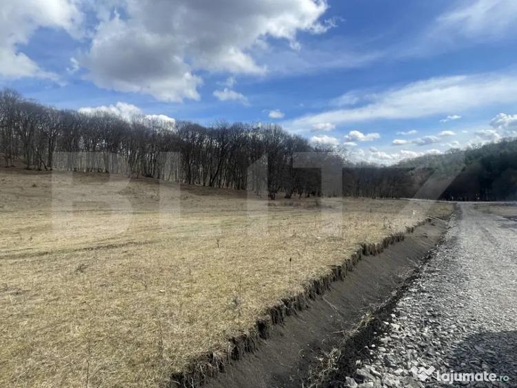 Teren extravilan de vanzare, 2,4 hectare, zona drumul Tarpiu - 3