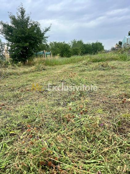 Teren intravilan in Babana jud Arges - 2