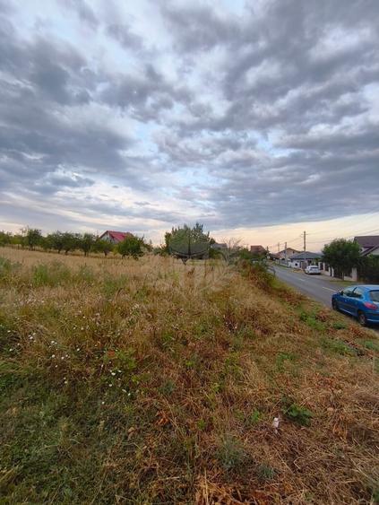 Teren Construcții intravilan de 10000 mp, în Păulești