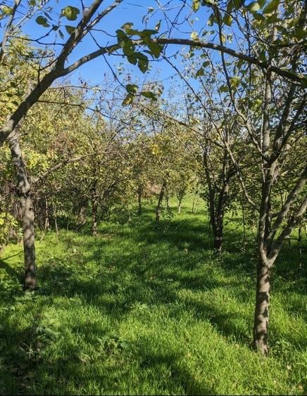 Casă individuală cu 3 camere cu Canalizare în Fărcașele
