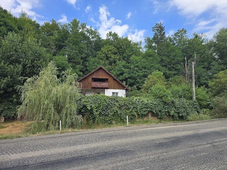 Casă cu 4 camere cu Teren 2500 Mp în Slătioara