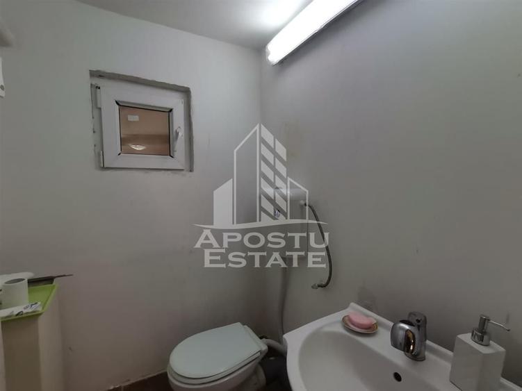 Casă individuală cu 5 camere cu Canalizare în Crișan