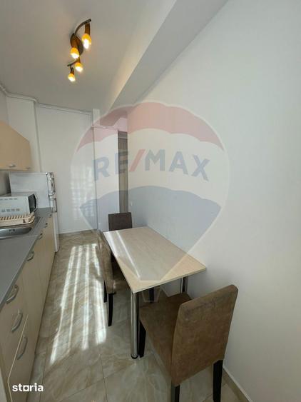 Apartament cu 1 camera de inchiriat la ARED Uta - 11