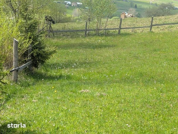 Vand teren la munte intravilan in Sarul Dornei la 8 km de Vatra Dornei - 2