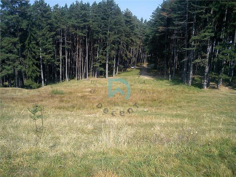 Teren Construcții intravilan de 1500 mp, în Poiana Angelescu