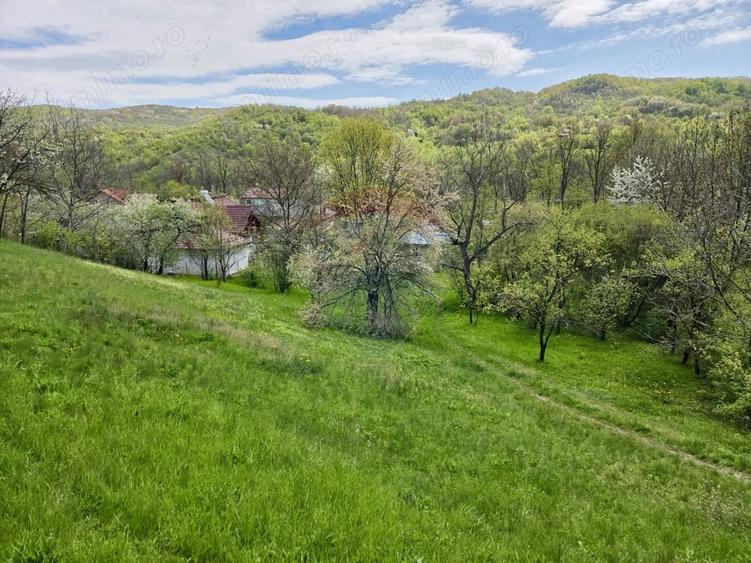 Teren de 4733 mp, în Drajna
