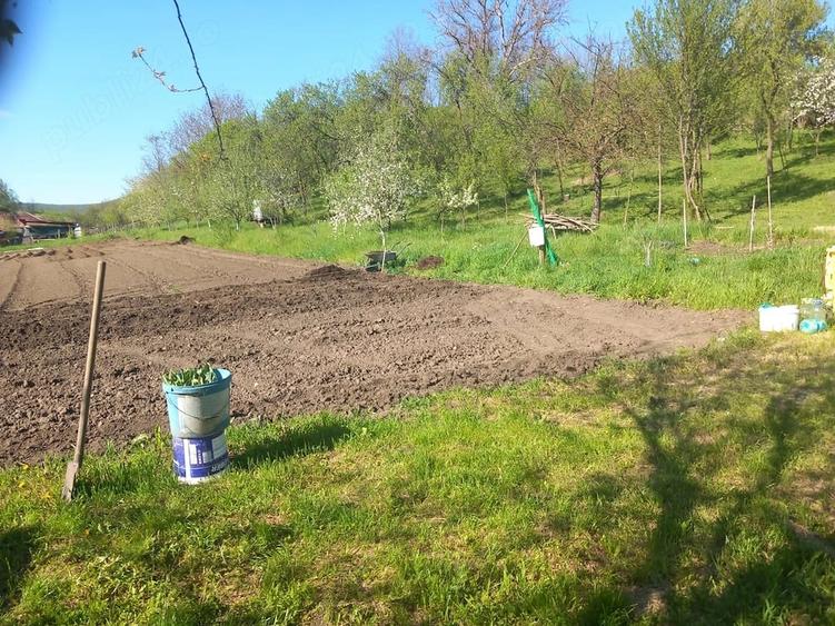 Casă cu 2 camere cu Teren 4300 Mp în Fodora
