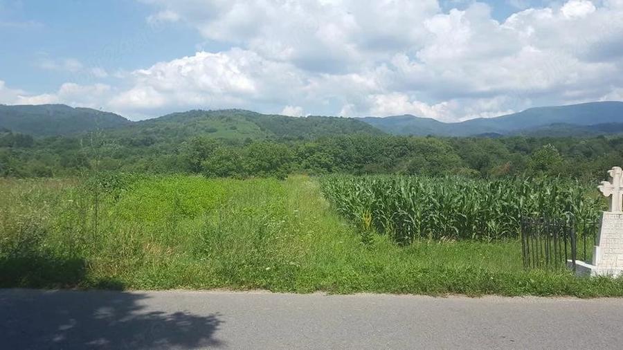 Teren de 5500 mp, în Borlova