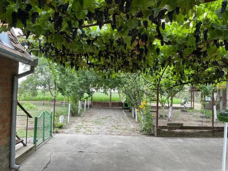 Casă cu 6 camere cu Teren 3000 Mp în Jimbolia
