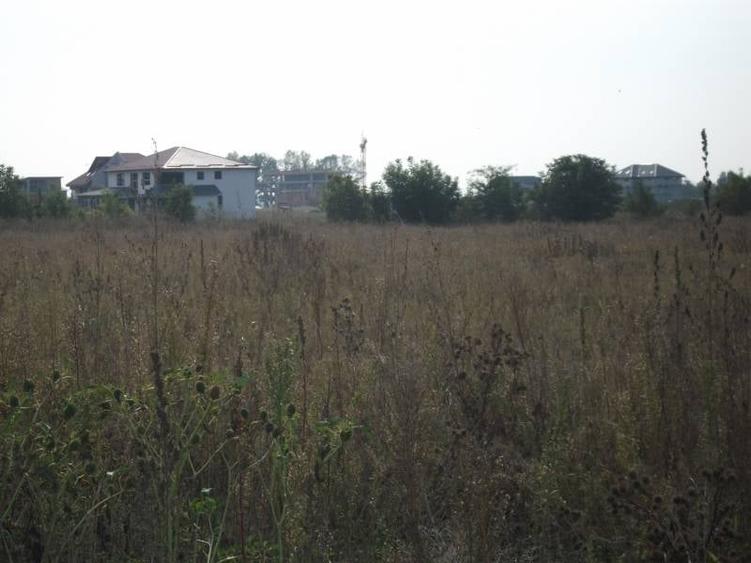 Teren Construcții intravilan de 12500 mp, în Exterior Vest