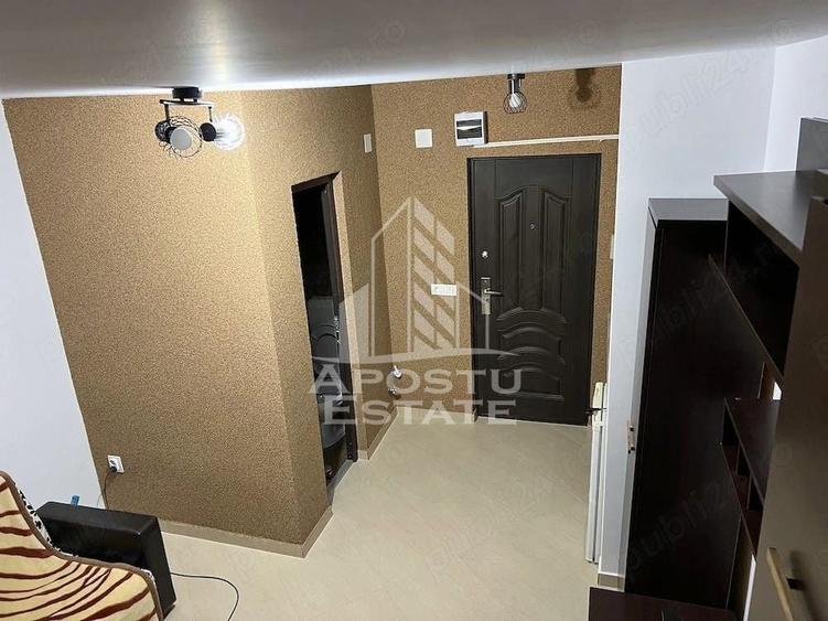 Apartament 1 camera de inchiriat, Dambovita, Timis - 3