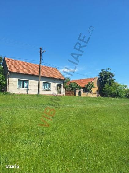 Teren de 8000 mp, în Chevereșu Mare
