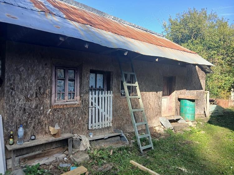 Casă cu 3 camere cu Teren 3000 Mp în Urseiu