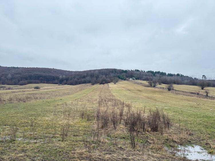 Teren extravilan de 1500 mp, în Teliu