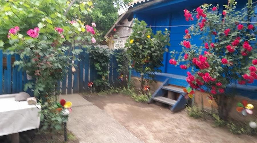 Casă cu Teren 2000 Mp în Codrești