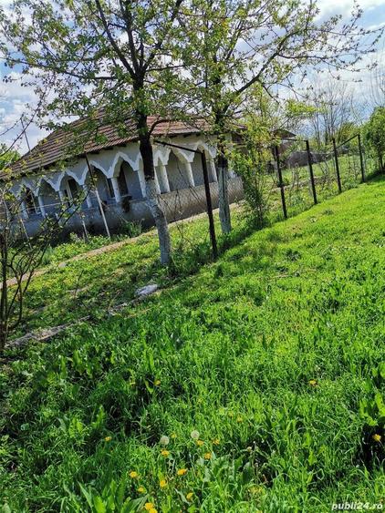 Teren de 1008 mp, în Movilița