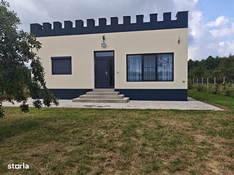 Casa Moderna 6000Mp Teren Cotmeana - 10
